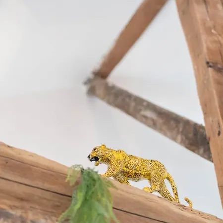 Chateau - Centre شقة فندقية 3*