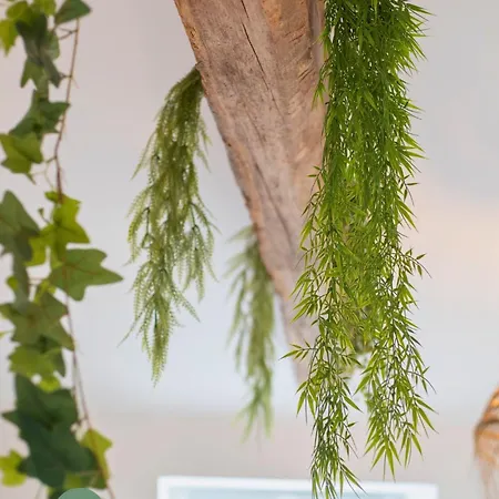 Chateau - Centre كومبيينْيِ